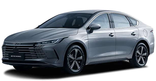BYD KING